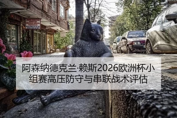 阿森纳德克兰·赖斯2026欧洲杯小组赛高压防守与串联战术评估