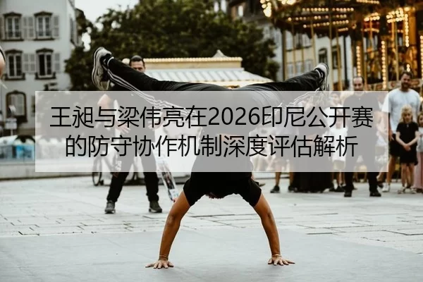wang-chang-yu-liang-wei-liang-zai-yin-ni-gong-kai-sai-de-fang-shou-xie-zuo-ji-zhi-shen-du-ping-gu-jie-xi-2-611.jpg